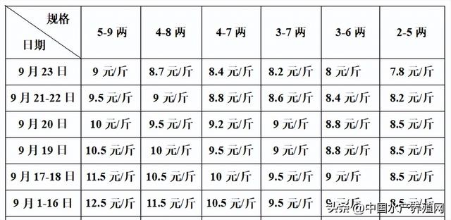 牛蛙批发价多少钱一只，牛蛙多少钱一斤市场价格？