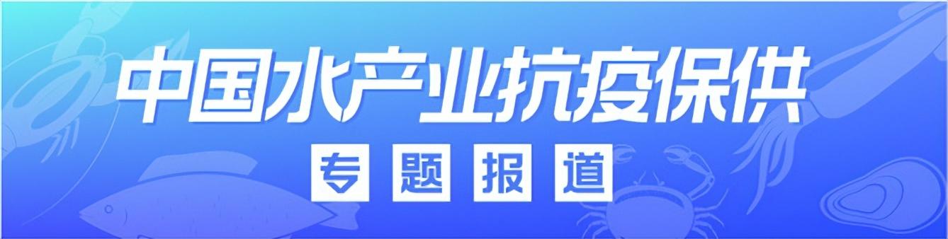 本地鱼苗批发在哪里进货好，本地鱼苗批发在哪里进货便宜？