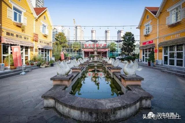 观赏鱼在哪批发，汕头宠物鱼批发在哪里？