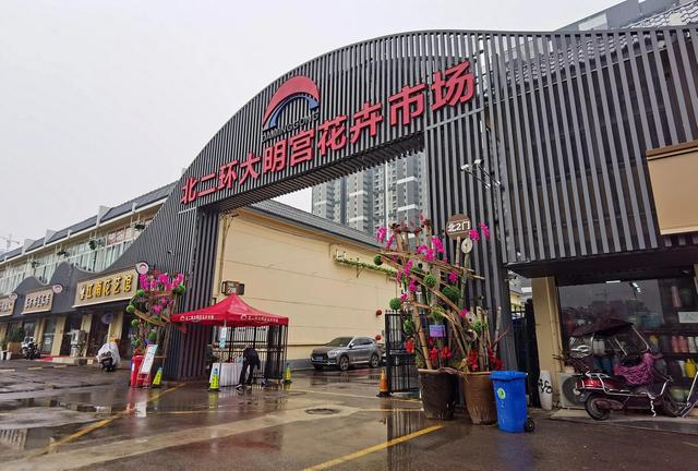 广州花卉市场批发在哪里进，广州花卉市场批发在哪里卖？