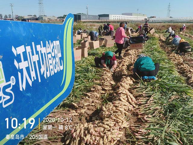 南宁肥料批发市场，南宁肥料厂家？