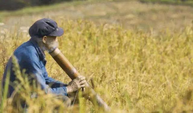 批发各种烟丝一斤多少钱，批发各种烟丝一斤多少钱一包？