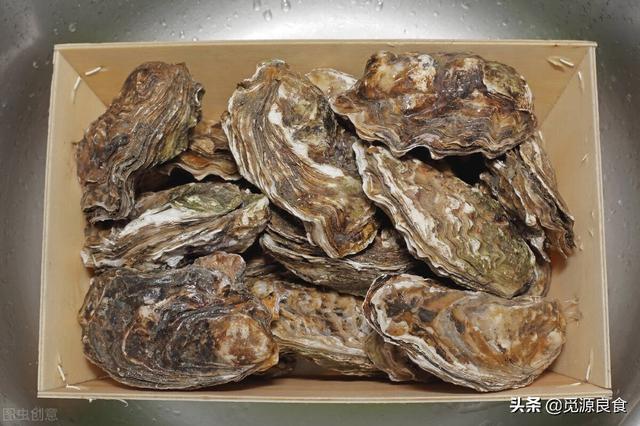 福建生蚝批发一手货源，生蚝批发一手货源多少钱一吨？