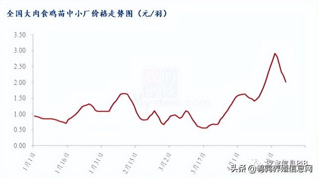 哪里有土鸡苗批发，本地土鸡苗批发市场？