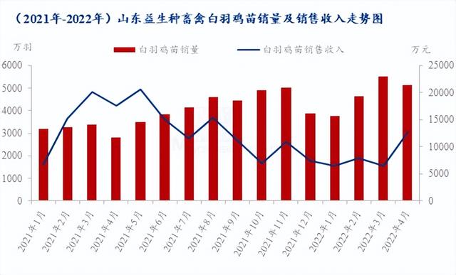 种禽龙头4月销售收入大幅上涨，白羽鸡苗5月市场行情急转直下