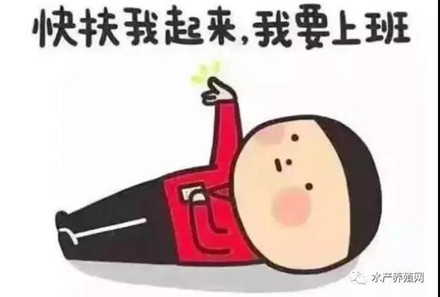 鱼苗批发基地_批发市场，58同城鱼苗批发？