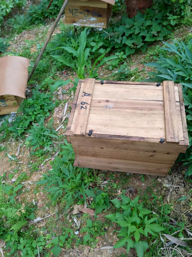 蜂箱批发30元两头开蜂箱，蜂箱批发30元两头开蜂箱好吗？
