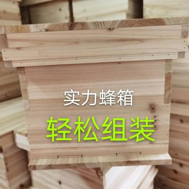 蜂箱怎么卖，哪里有蜂箱卖,多少钱一个？