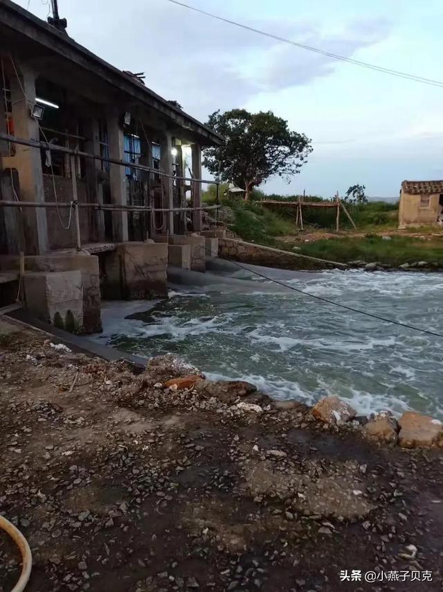 海鲜批发市场进货渠道有电话号码吗，海鲜店去哪里进货？