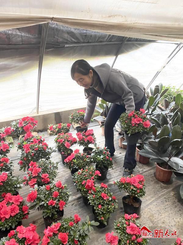 北京批发花卉去哪里进货，北京批发花卉去哪里进货便宜？