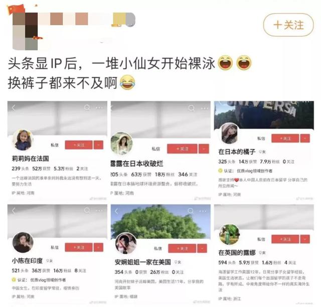 青岛IP代理，上海市中英文核酸检测机构？
