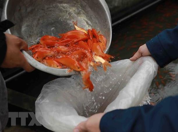 饰品货源网站，饰品货源网有哪些？