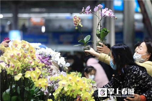 昆明鲜花批发市场地址个区，昆明鲜花批发市场地址在哪里怎么坐车去？