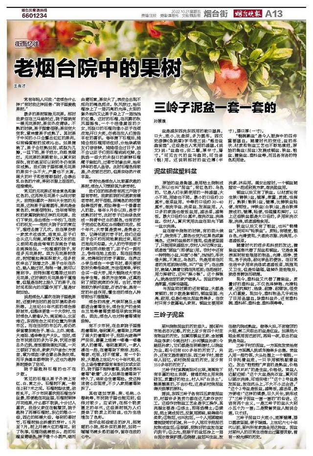 花盆批发哪里最便宜，盆栽花卉基地批发哪里最便宜？
