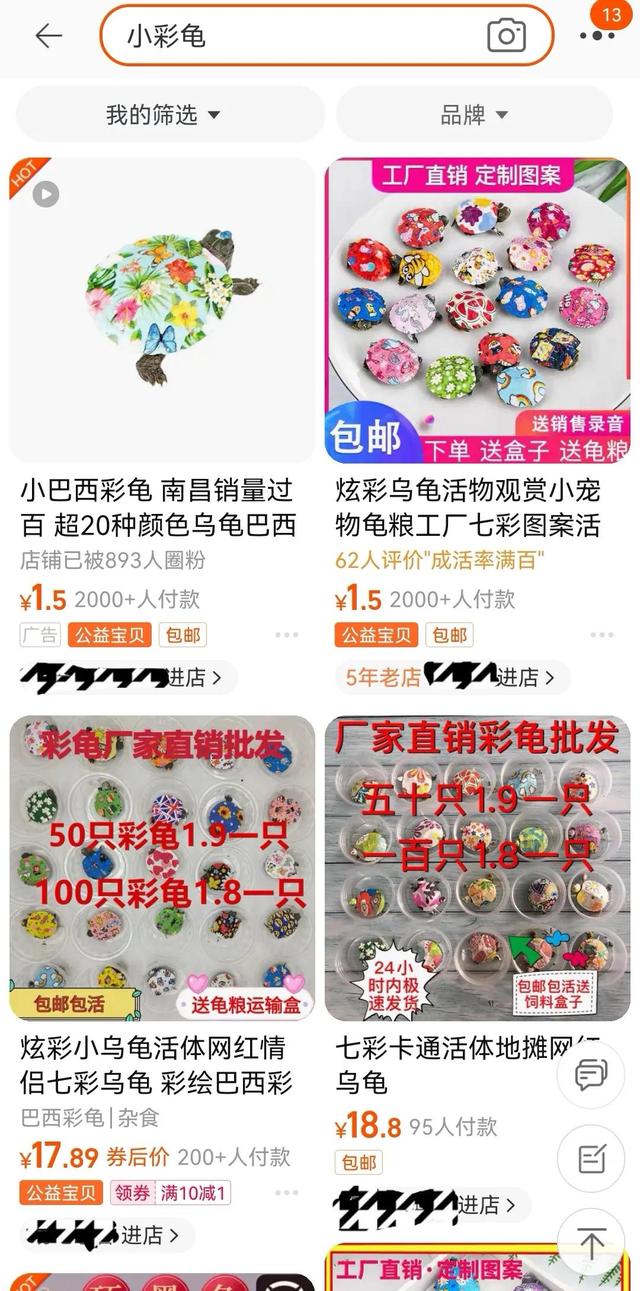 地摊上买的小彩龟要怎么养活，地摊上买的小彩龟要怎么养活呢？
