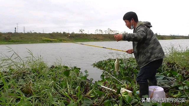 草花批发市场进货渠道，北京批发水草市场？