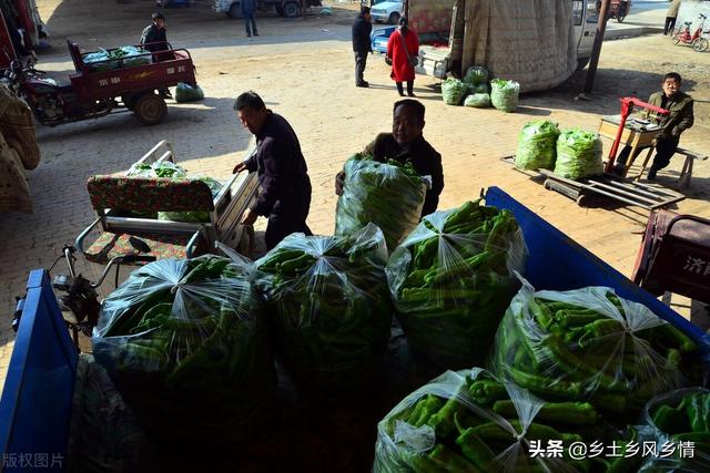 市场卖青菜一天赚多少钱合适，菜市场卖青菜一年能赚多少钱？