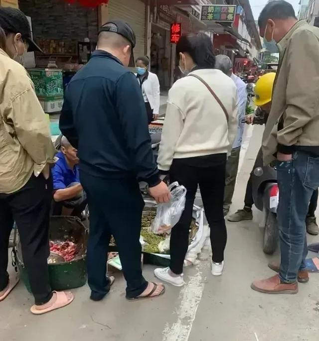 水草批发市场进货渠道在哪里，水草商家进货渠道？