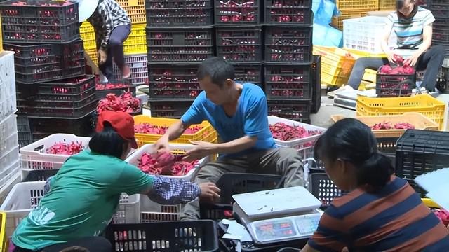 电商水果货源，微商货源果客邦水果货源平台？