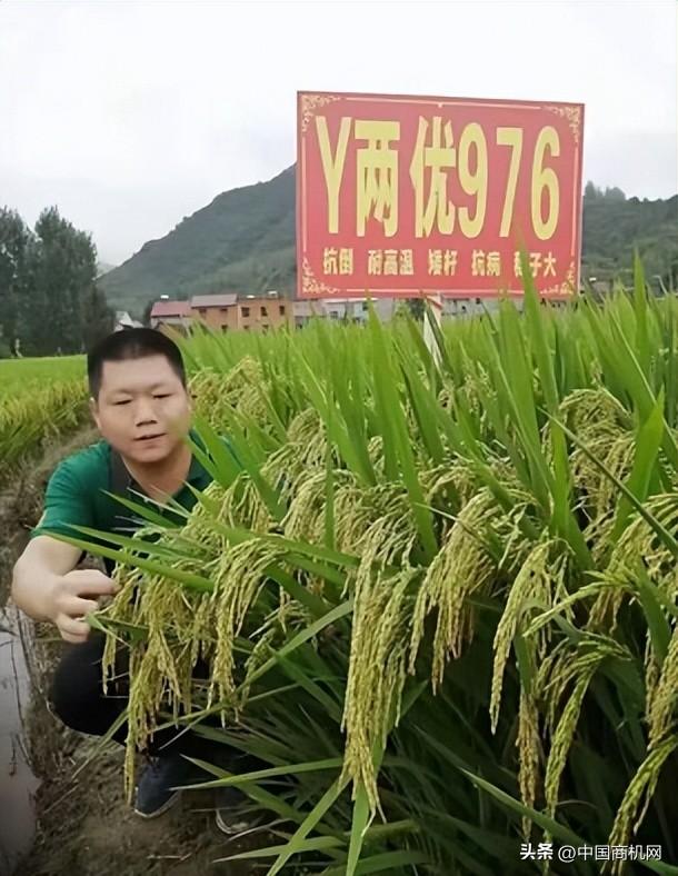 各种货源批发网，买卖货源网？