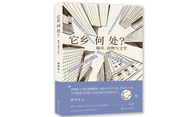 猫星人_产品，星猫科技有限公司？