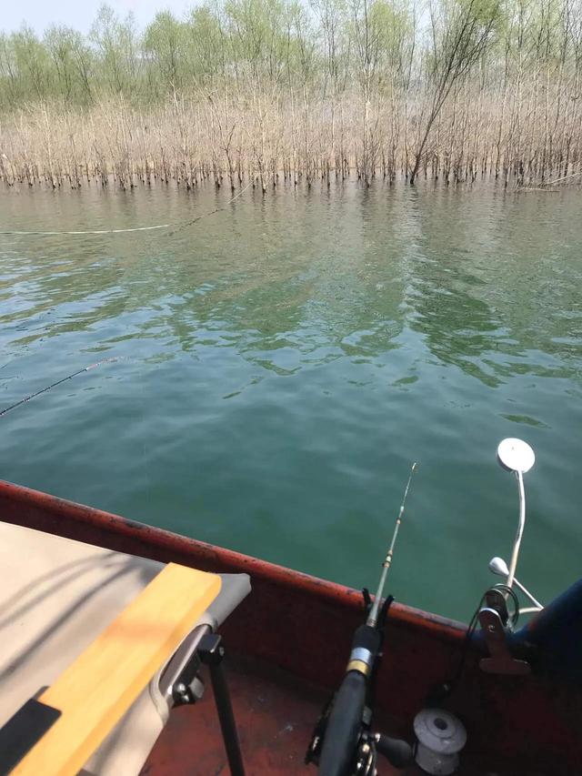 筏钓江湖（四）