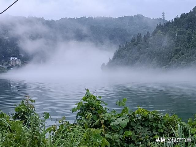 淘宝拼多多热销鱼篓吊饰货源拿货是真的吗，淘宝拼多多热销鱼篓吊饰货源拿货是真的吗可信吗？