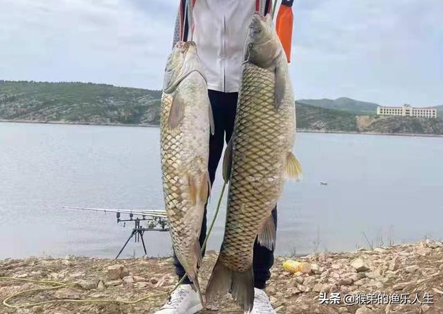 德州钓组钓法，德州钓组控饵手法？
