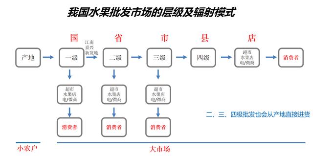 想批发水果怎么找货源，水果进货批发网站哪个好？