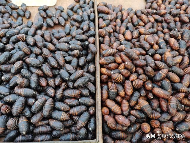 胶东见闻过年吃的“蛹”，你家已经准备好了么？