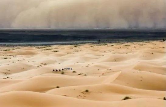 沙漠这么多沙子，为啥不用沙漠的沙子建房子