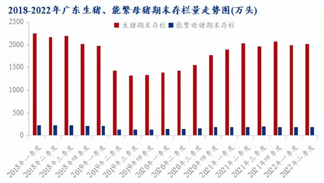 被玩坏的生猪行业_摸不透的广东市场？