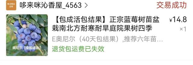 淘宝拼多多热销绿植设计货源拿货是真的吗可信吗，拼多多卖绿植？