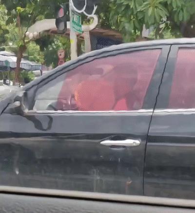 淘宝拼多多热销葵扇子货源拿货是真的吗，葵扇子多少钱一斤？