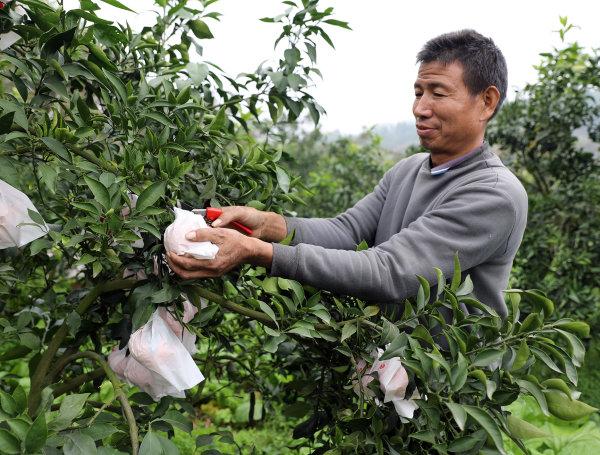 眉山微商货源地址，眉山微商货源地址电话？